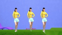 广场舞《情字有多假》伤感情歌