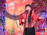 河南坠子《包公案》