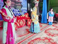 曲剧《龙三姐拜寿》南阳市长宏曲剧团