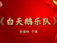 白天鹅乐队