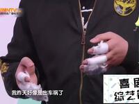音效俱乐部之侦探