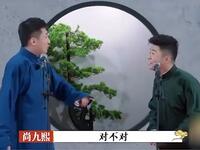 我和我的小伙伴们下载