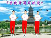 32步广场舞《雪花寄满我的爱》真情流露好听