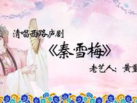 西路庐剧《秦雪梅》选段下载