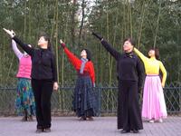 广场舞《一起向未来》动作简单优美