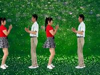 32步广场舞双人舞《男人醉女人累》简单好看