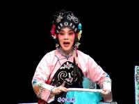 川剧弹戏《拾玉镯》重庆市川剧院钟斌等演出