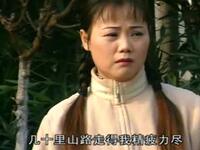 庐剧《半路捡老婆》