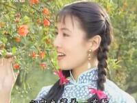 黄梅戏电视剧《秋》韩再芬唱段合集下载
