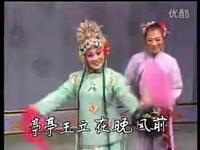 评剧《花为媒》选段报花名