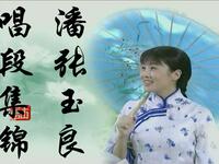 黄梅戏音乐电视剧《潘张玉良》唱段全集下载