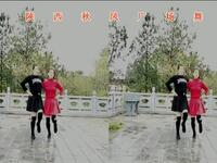 陕西秋凤广场舞双人舞《爱你每一天》