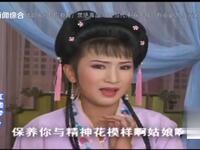 庐剧《红楼梦》第7集