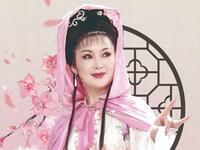 黄梅戏《哑女告状》下载