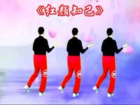 DJ广场舞《红颜知己》动感优美简单易学好听