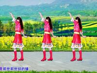 DJ广场舞《爱你每一天》
