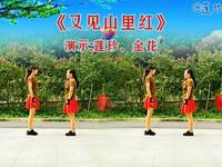 广场双人舞《山谷的思念》