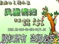 二人转《风骚情妇》下载