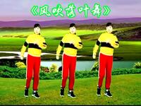 DJ广场舞《风吹落叶舞》完整版简单易学