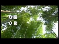 庐剧《仇人收养冤家儿》第5集