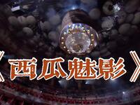 西瓜魅影