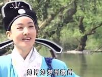 黄梅戏电视剧《龙凤奇缘》全3集下载