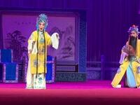 评剧《打金枝劝万岁》高红莲饰演唐王