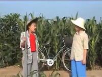 吕剧《拔苗助长》全场下载