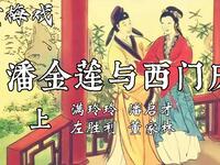 黄梅戏《潘金莲与西门庆》全剧下载