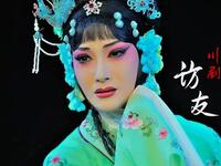 川剧《柳荫记访友》下载