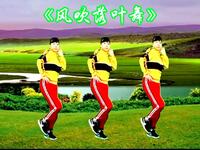 DJ广场舞《风吹落叶舞》好听的歌好看的舞