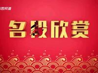 河南坠子《猪八戒背媳妇 晴雯撕扇》