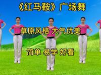 广场舞《红马鞍》草原dj情歌