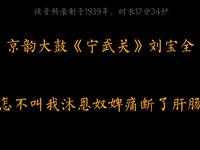 京韵大鼓《宁武关》