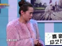 宠物翻译器下载