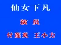 二人转《仙女下凡》辽源红旗曲艺厅演出