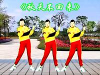 DJ广场舞《秋天不回来》