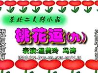 二人转《桃花运》下载