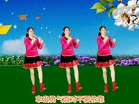 DJ广场舞《你是我最美的相遇》心醉动听