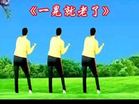 DJ广场舞《一晃就老了》好听又好看