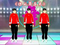 DJ广场舞《你从草原来》中老年流行舞蹈