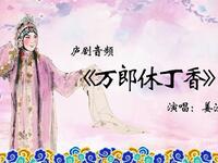 庐剧《万郎休丁香》选段