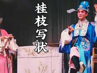 川剧胡琴《桂枝写状》下载