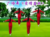 DJ广场舞《爱情盗贼》32步好看易学