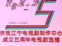 二人转《过了这个村》吉林省民间艺术团演出下载