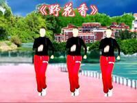 DJ广场舞《野花香》动感带劲时尚好看
