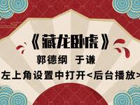 藏龙卧虎
