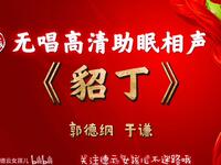 貂丁