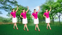 民族风广场舞《不能忘》歌甜舞美 正面演跳