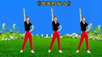 DJ广场舞《逍遥的仙儿》旋律动感欢快